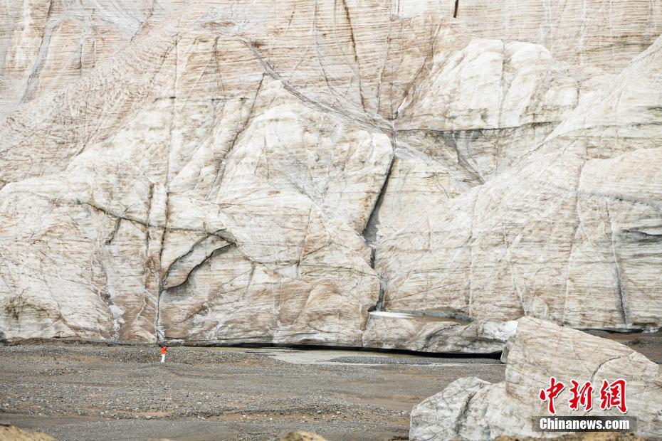 西藏羌塘草原迎来最美的季节