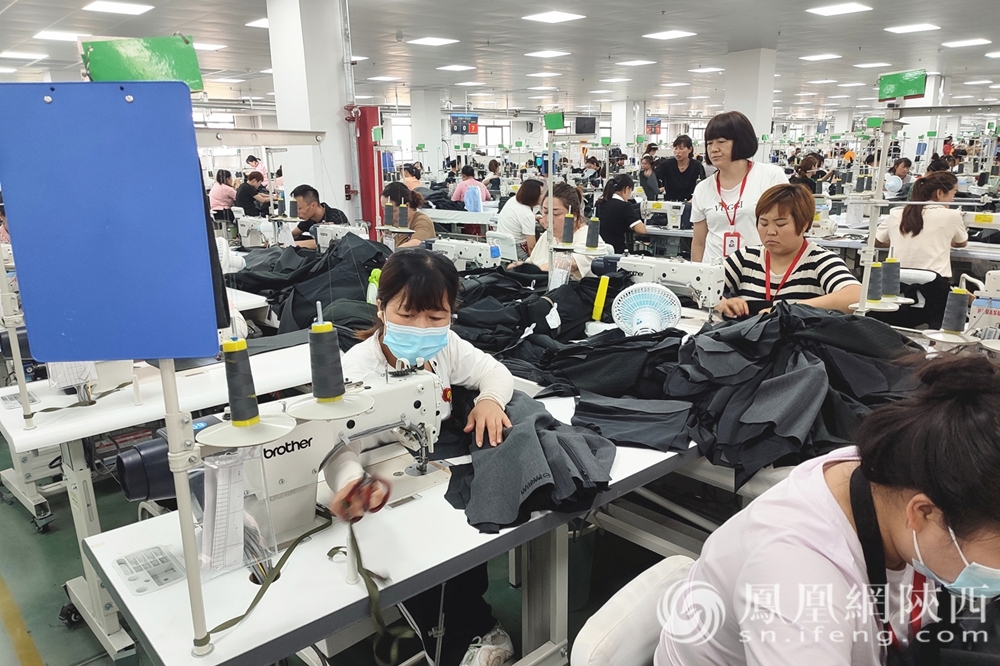 渭南白水县:制衣厂带动就业 “六稳六保”政策见成效