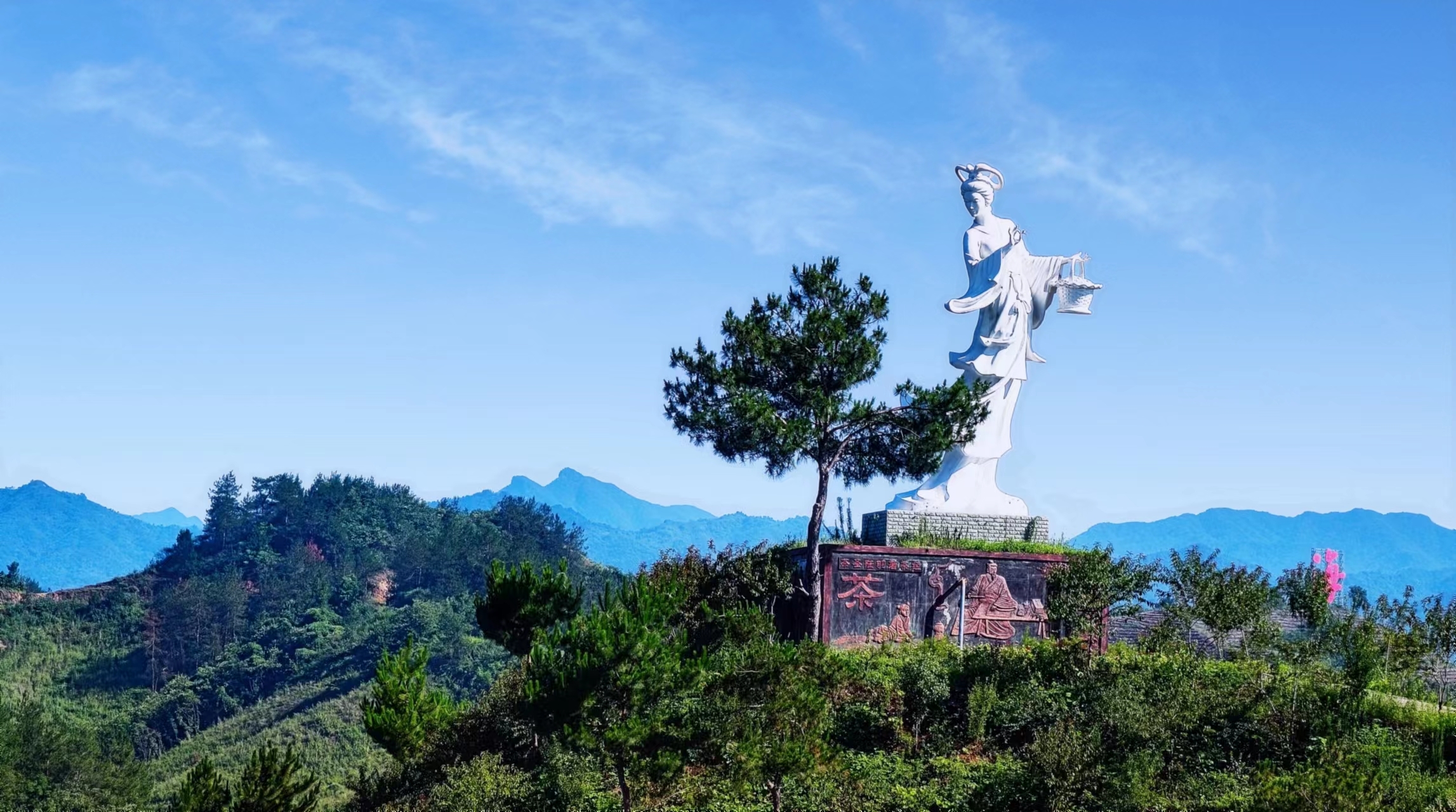 夏日狂欢任由你闯2022商南阳城驿帐篷营地森林音乐节开幕