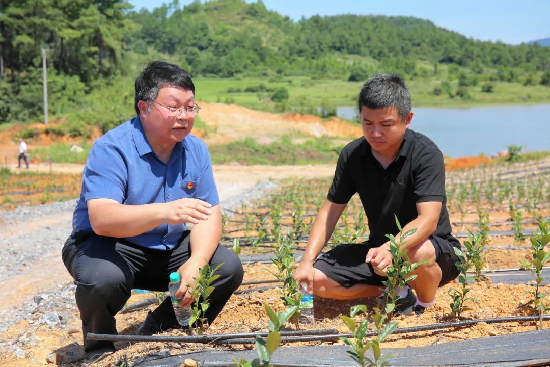 彭平:乡村振兴担使命 为民服务守初心