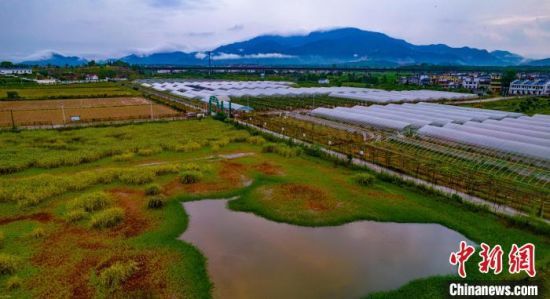 多种特色产业为乡村振兴“构图上色”。　赵春亮 摄