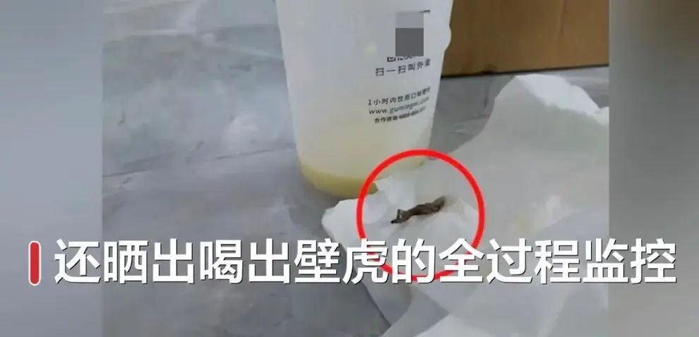 8920113468481039360.jpeg