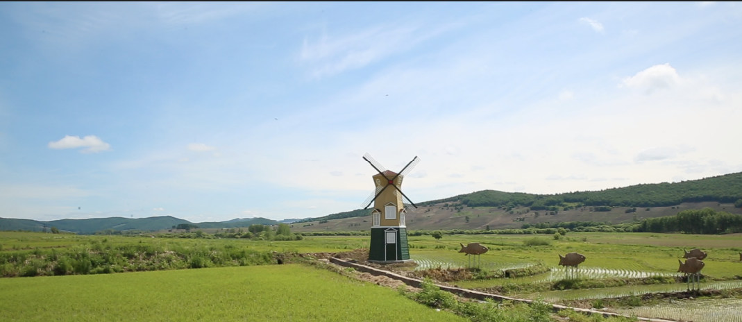 敦化市雁鸣湖镇杨木嘴子村被评为吉林省省级乡村旅游重点村