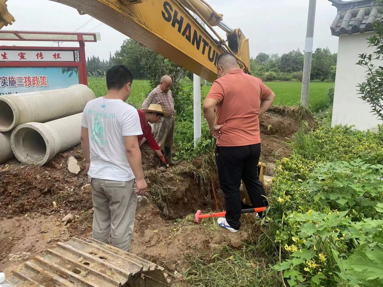 安徽桐城新渡镇:抗旱的田野卷春潮凤凰网安徽_凤凰网