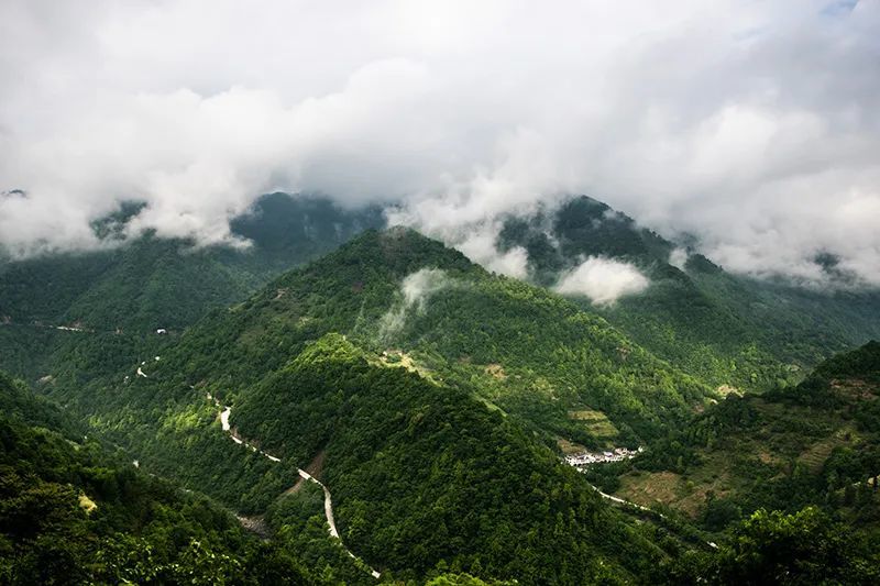 早知有陇南，何必下江南？