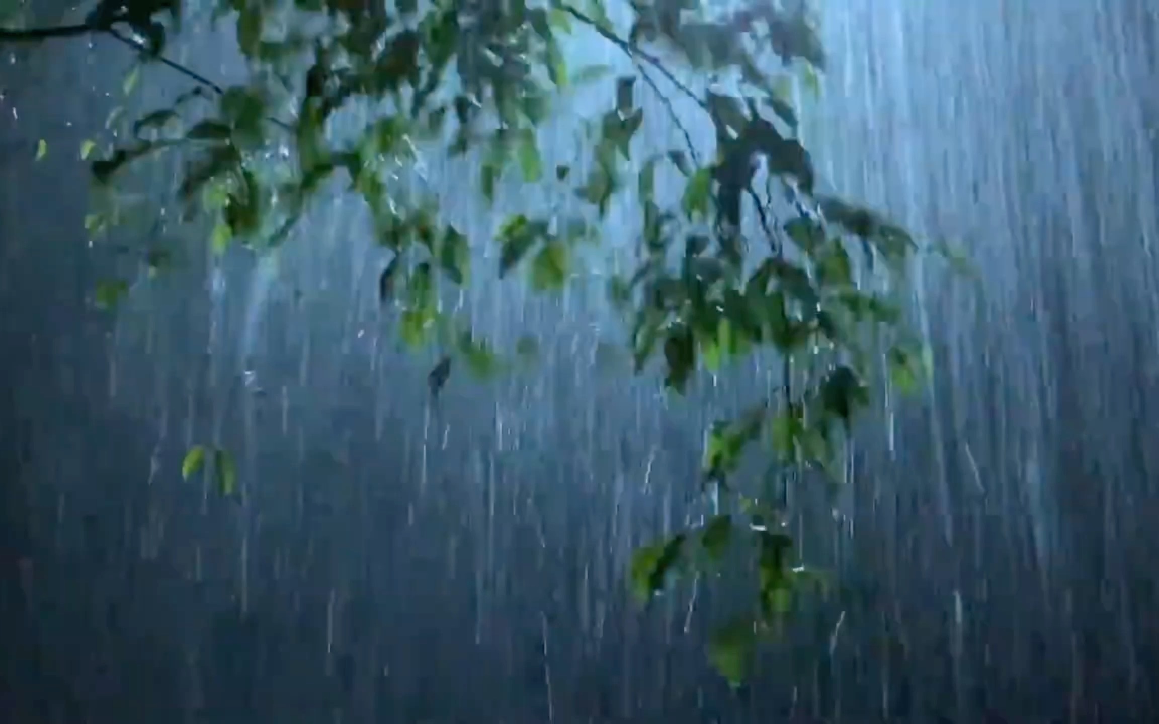 窗户的漏水的原因和解决办法