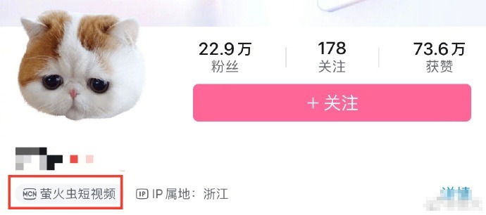 继抖音微博后 B站账号开始显示所属MCN机构
