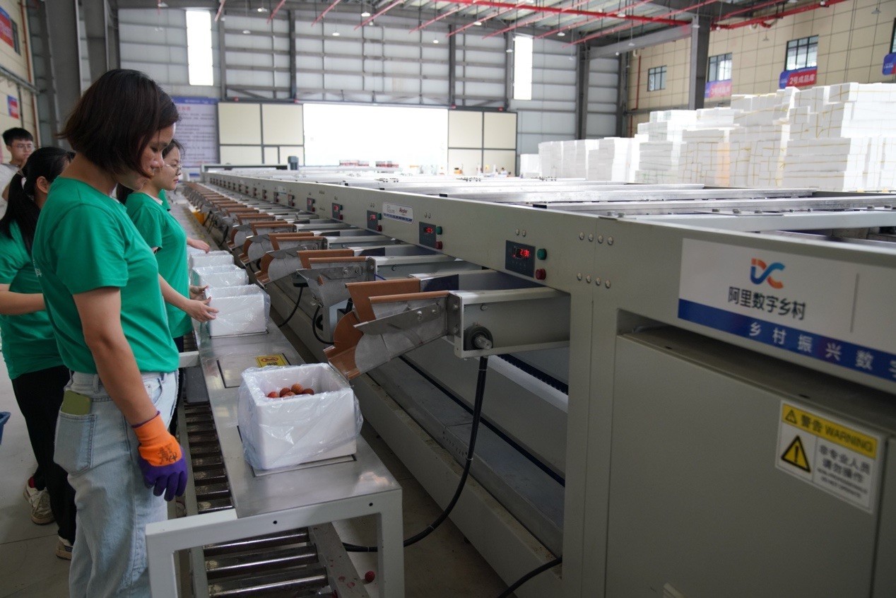 1281亿!阿里巴巴首份“热土计划”成绩单 发布18项助力乡村振兴新举措