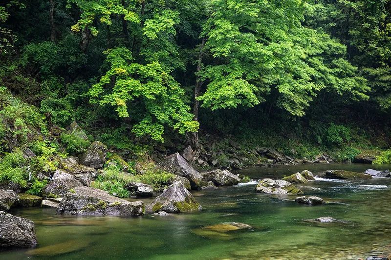 早知有陇南，何必下江南？