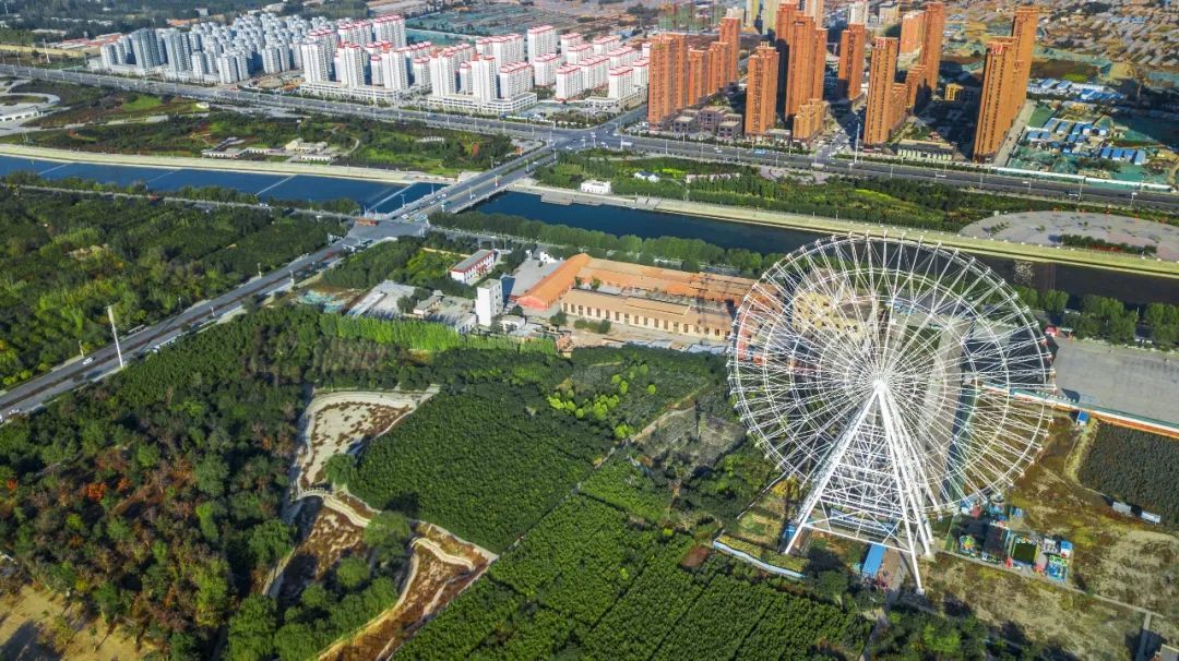 植物园（摩天轮主题公园）