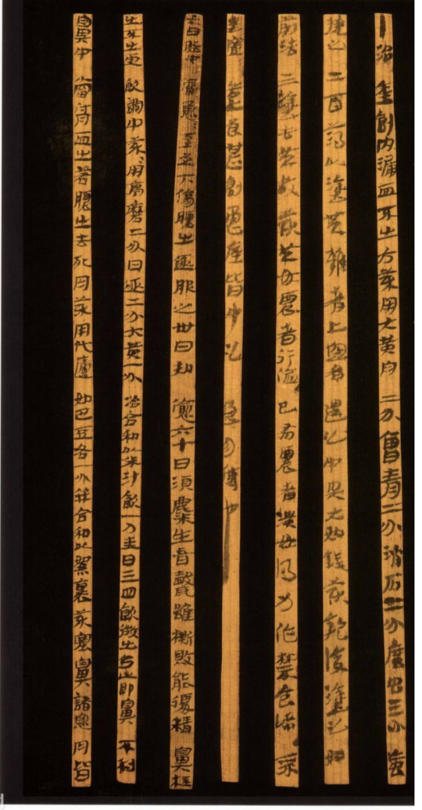 东汉医药简丨武威市旱滩坡东汉墓出土（图源网络）