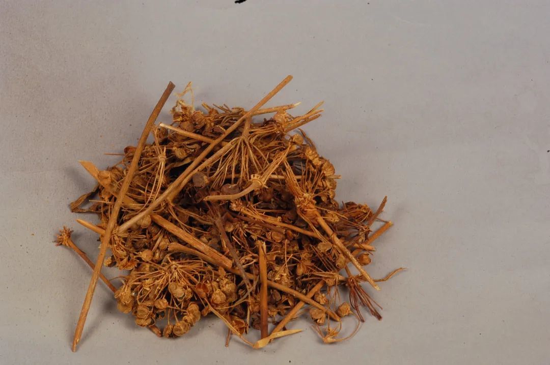 中草药&middot;汉代悬泉置出土丨甘肃简牍博物馆供图