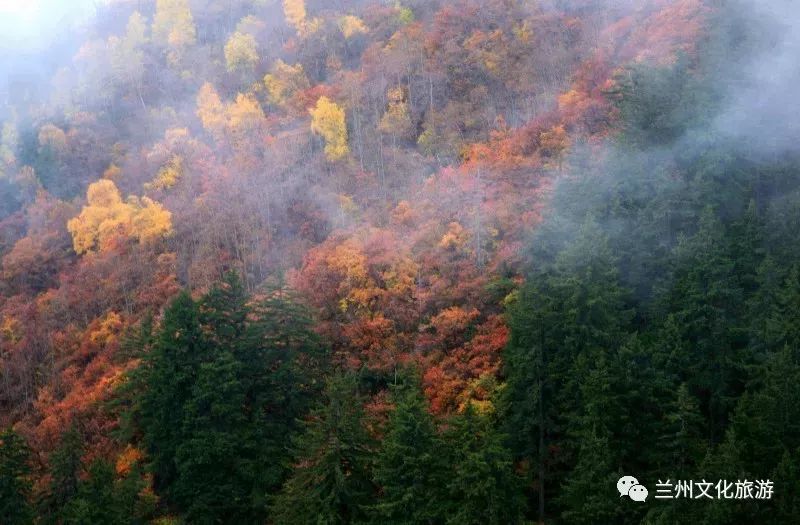 兰州深藏不漏潜力股景区TOP10 最后一个爱“整活”