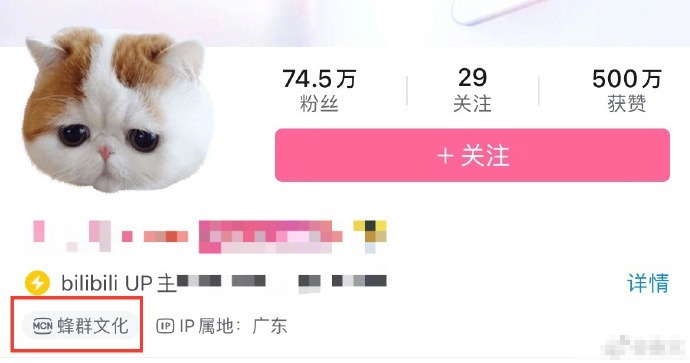继抖音微博后 B站账号开始显示所属MCN机构
