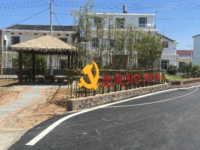 进贤泉岭乡:党建引领促提升 乡村振兴见成效