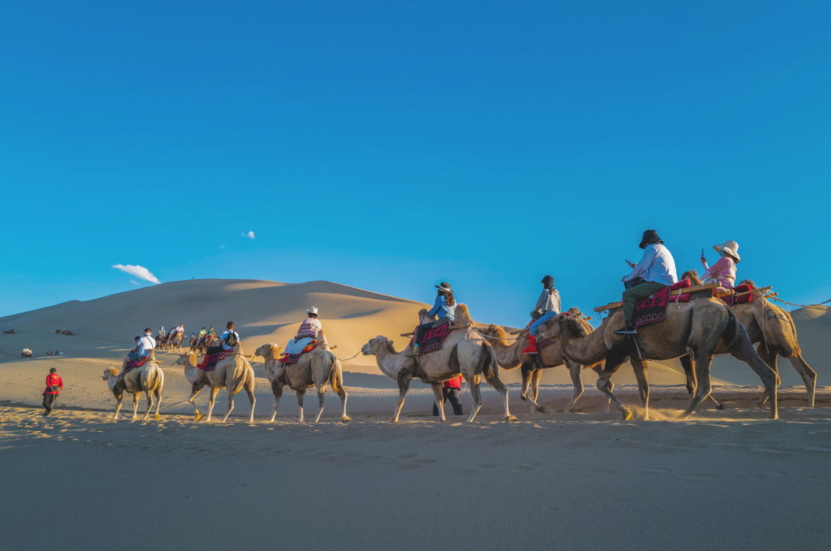 甘肃省沙漠骆驼队 8A3412FF08BC75B289F76669C16D8093213742B8_size1183_w1183_h785.png