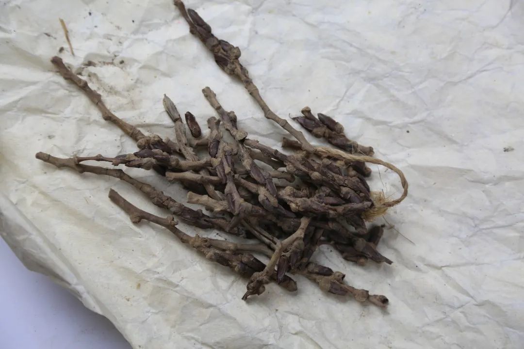 中药&middot;汉代居延遗址出土丨甘肃简牍博物馆供图