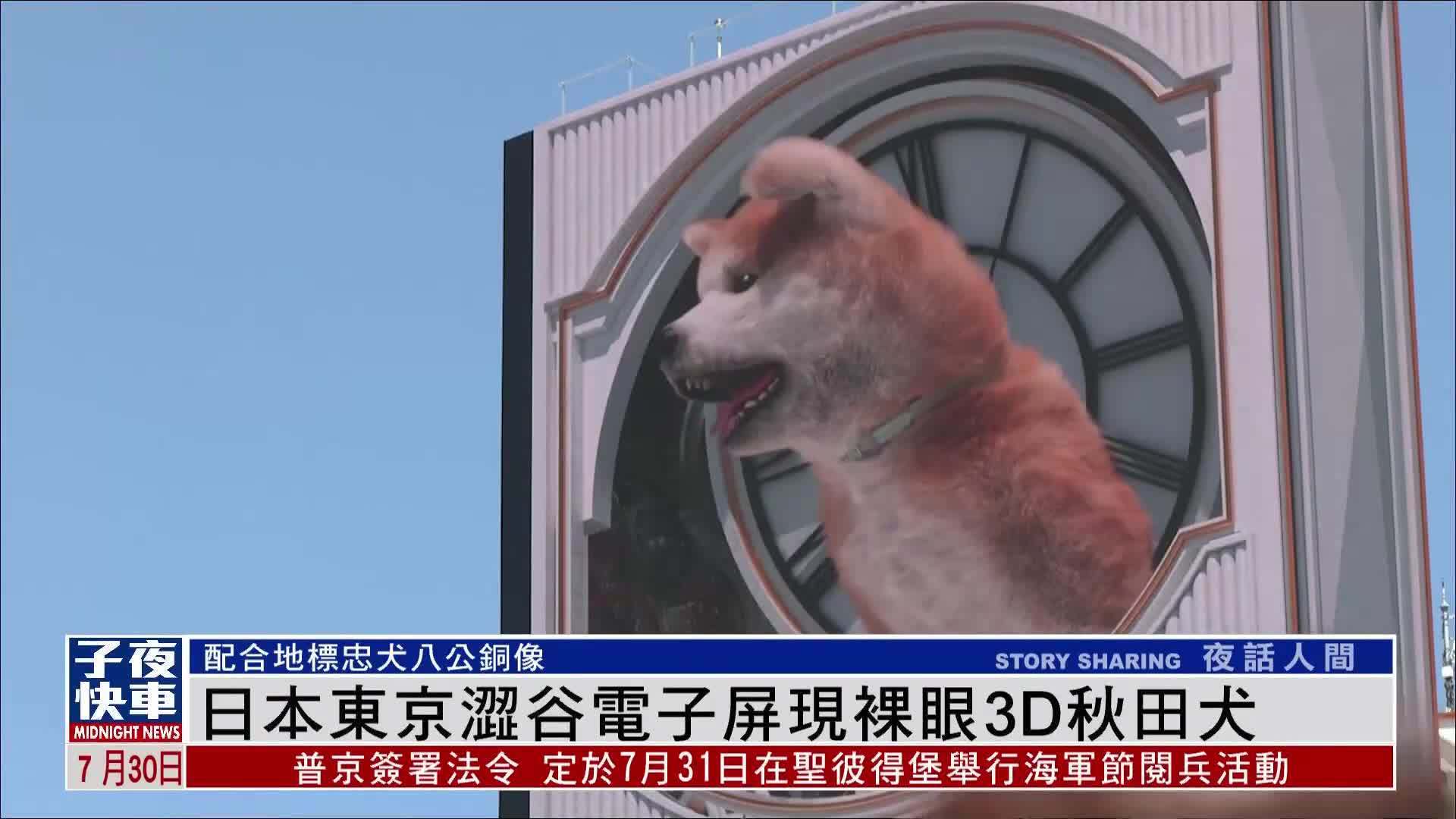 日本东京涩谷电子屏现裸眼3D秋田犬