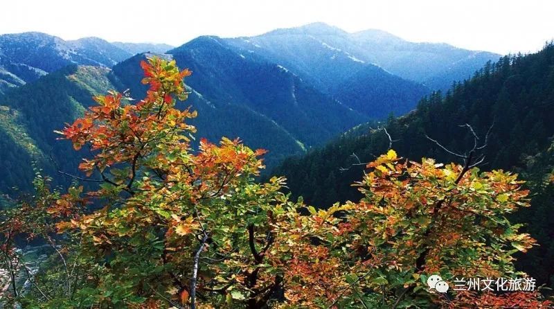 兰州深藏不漏潜力股景区TOP10 最后一个爱“整活”