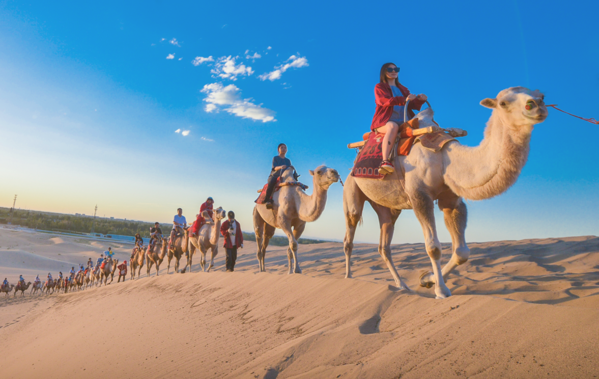 甘肃省沙漠骆驼队 C2A7B2B7AC768444157EA68F589628FCF5413A1C_size1828_w1177_h744.png