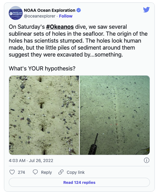 外媒:神秘的海底洞状结构难倒海洋科学家