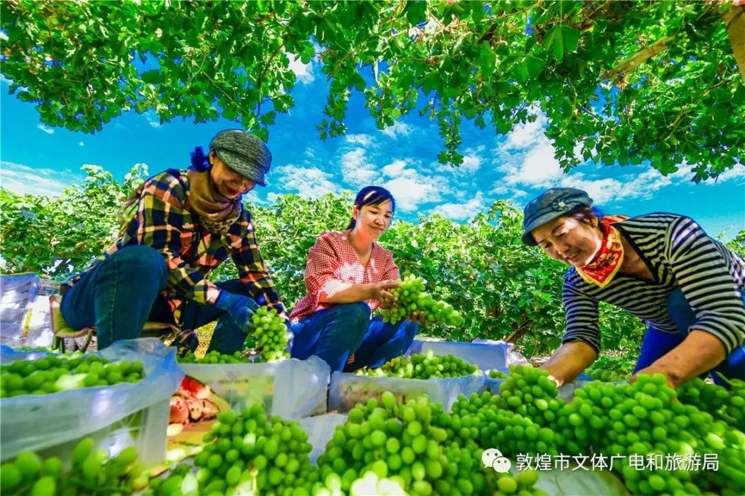 丝路重镇酒泉：城下有泉 其水若酒