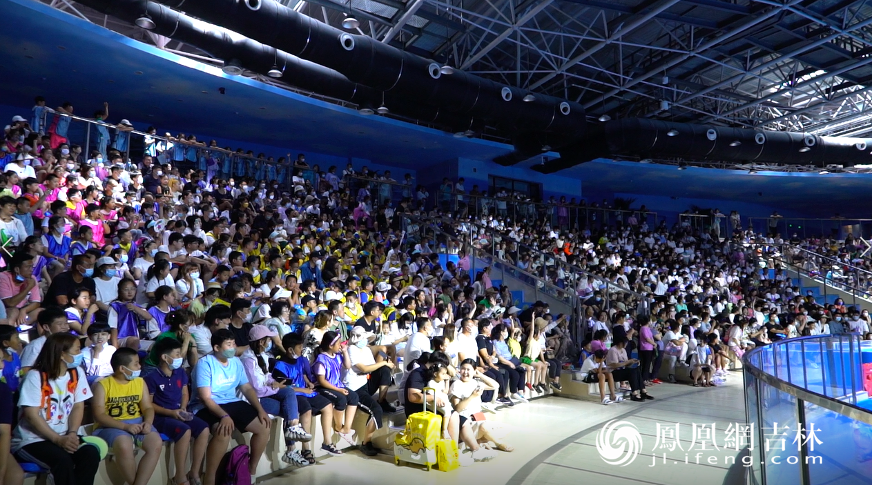 观赏海豚表演的同时，一场关于“海洋生物”的研学之旅正在进行。凤凰网吉林 董令辉 摄