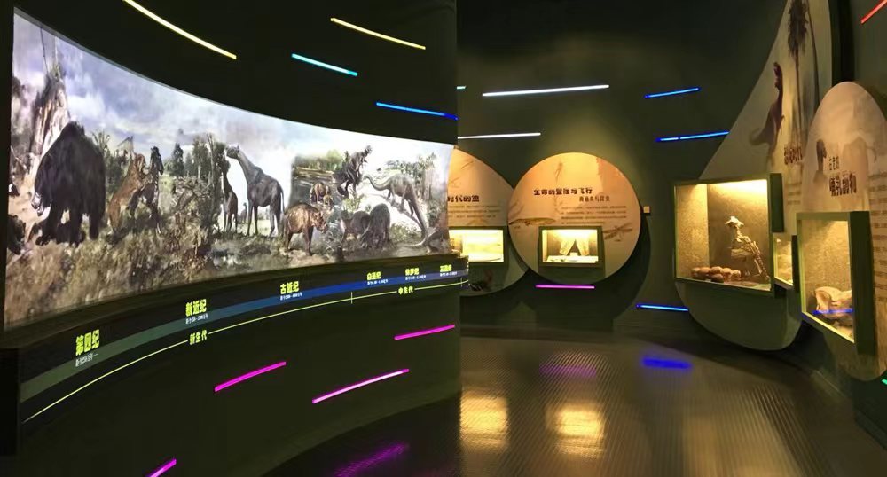 常州博物馆馆长林健:打造有温度的博物馆 用创新语言讲好千年故事