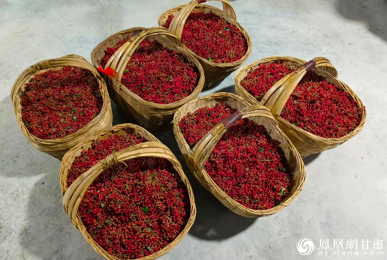 护航丰收保增收花椒银行解了椒农疫时之愁