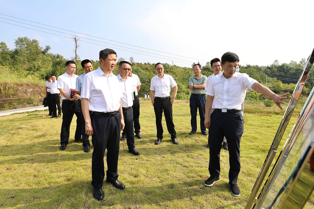 常斌调研农业园区。胡瑾 摄