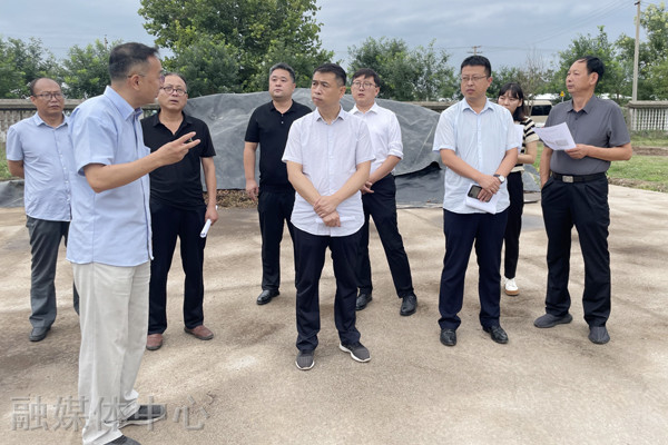 咸阳市三原县政协开展抓好农村人居环境建设助力乡村振兴专项调研