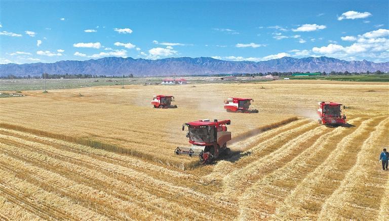 永昌县粮食作物实现机械化收割 资料图