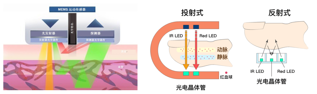 图源网络
