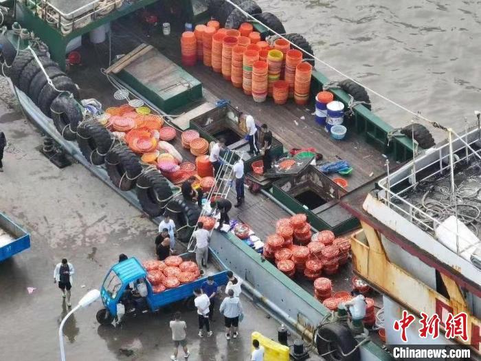 舟山国际水产城码头热闹非凡 姚峰 摄