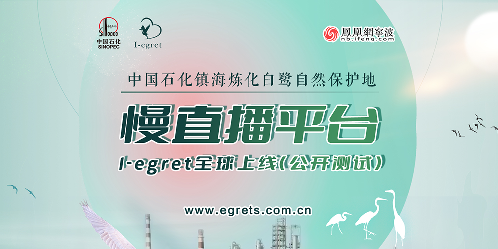 中国石化I-egret（爱白鹭）白鹭全球慢直播