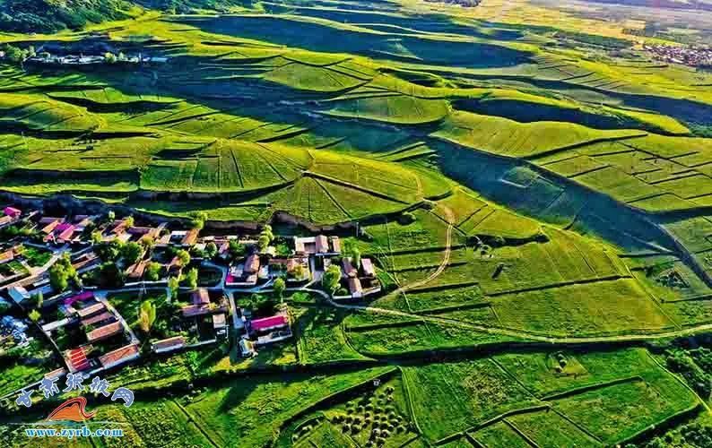 7月27日，夕阳映衬下的祁连山北麓民乐县顺化镇青松村，与周围的青山绿茵相映衬，宛如油画，吸引了众多游客前来一睹美景。