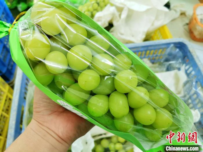 列入“特级果”的香印葡萄 李晓春 摄