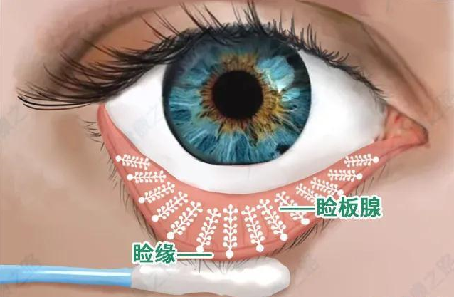 眼科医生喊你补充omega-3干眼鱼油叶黄素啦凤凰网山东_凤凰网