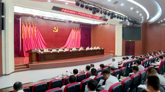 永修县委书记秦岭强化以实绩论英雄导向持续推动招商引资和项目建设的