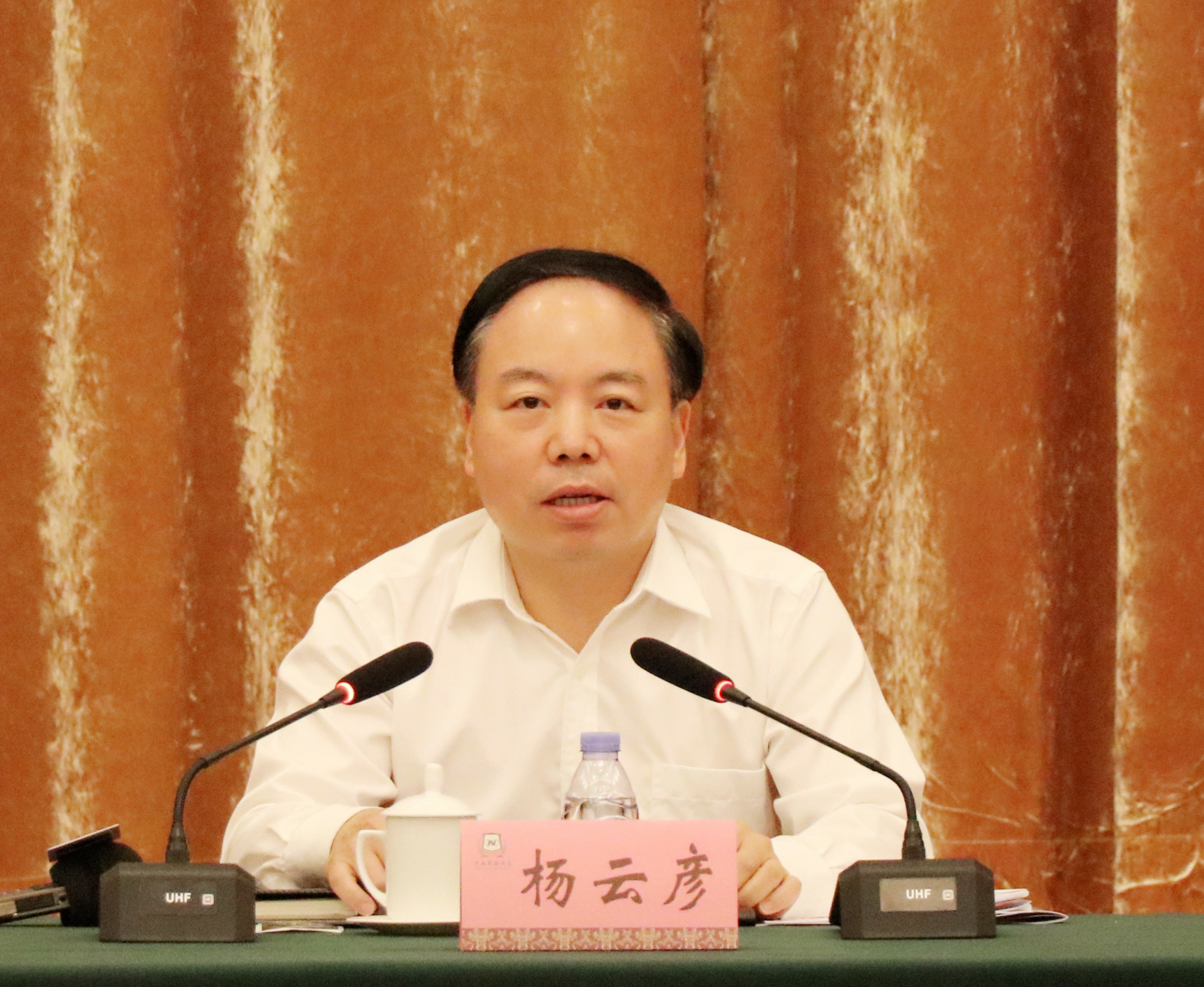 湖北省副省长杨云彦出席会议并讲话 （李惠敏 摄）