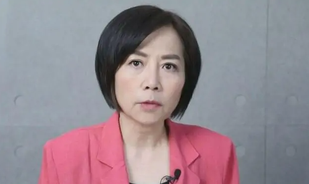 岛内名嘴黄智贤:希望统一进程大大加速 “不统一太痛苦”