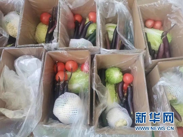 靖远县委宣传部供图