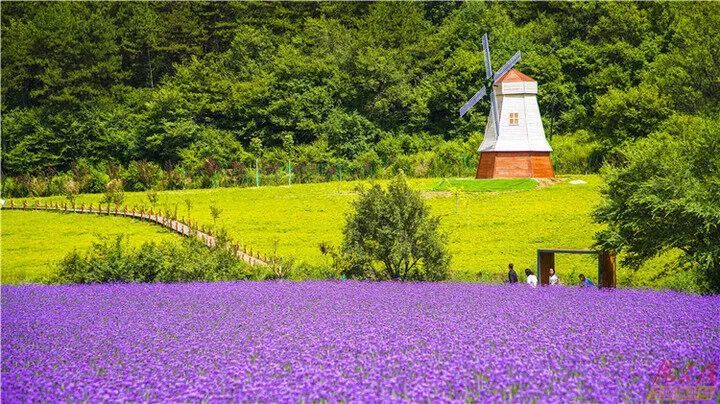 花海 滑索 飞瀑……庆阳合水花溪谷邀你打卡!凤凰网甘肃_凤凰网