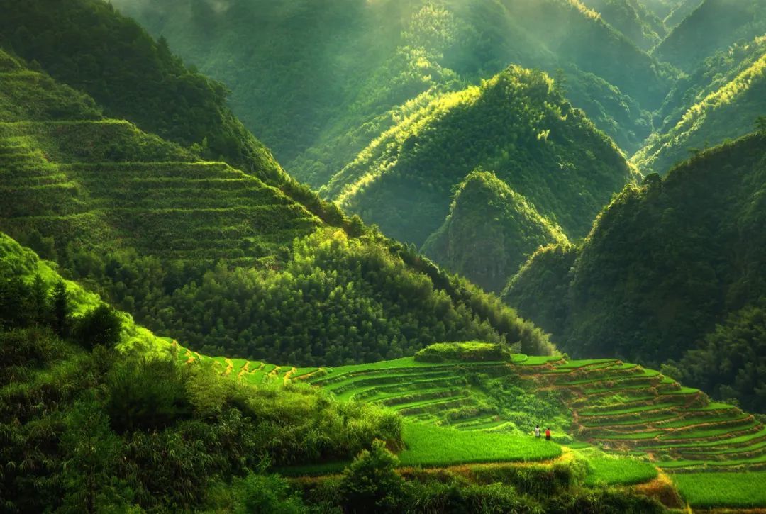 好吃的景宁,江浙沪私藏的避暑天堂_凤凰网旅游_凤凰网