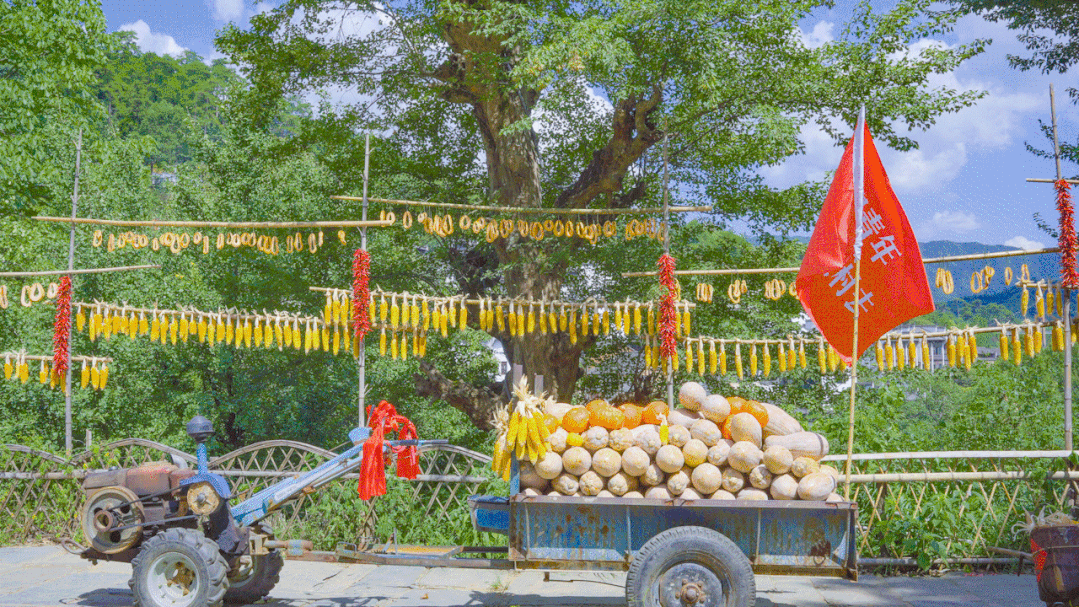 8月7日的篁岭景区