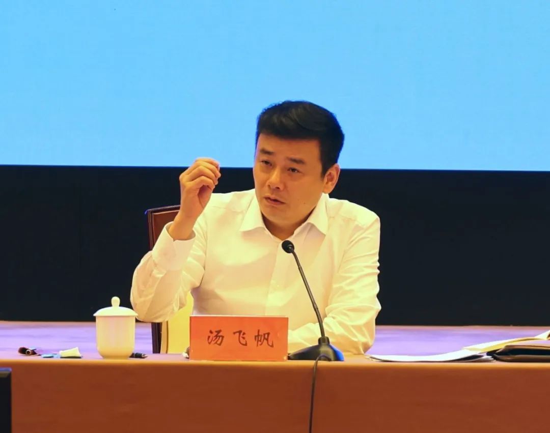 汤飞帆:努力交出经济稳进提质高分报表