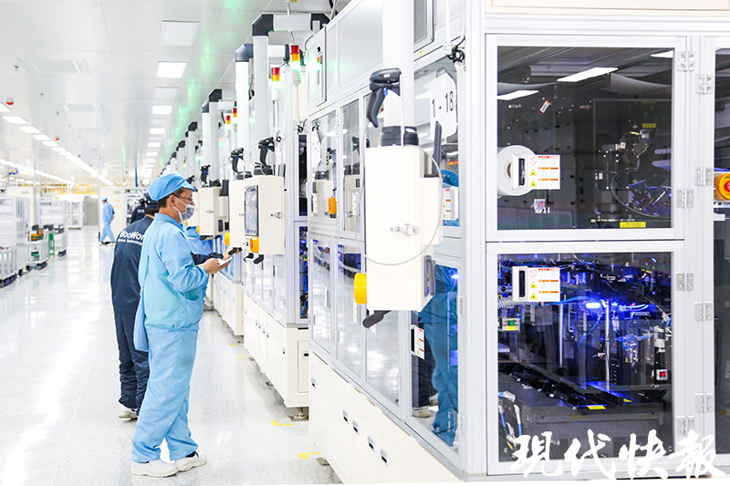 只此青绿！盐城展现“国际湿地、沿海绿城”魅力活力