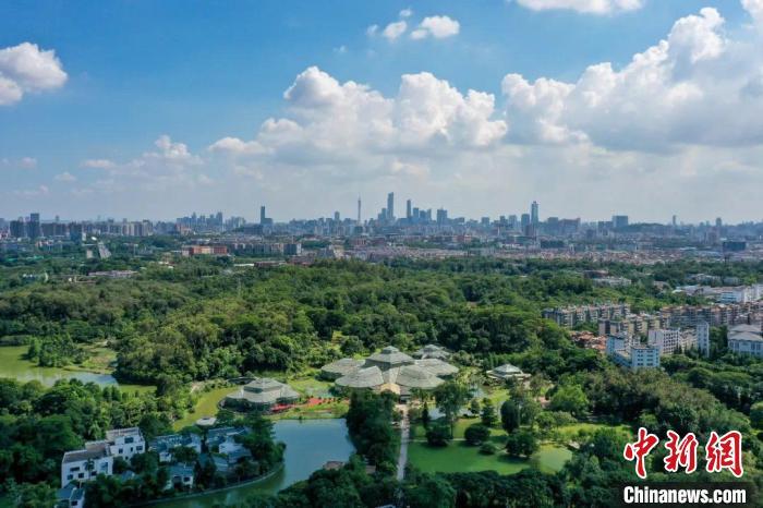 航拍华南国家植物园。　陈骥旻 摄