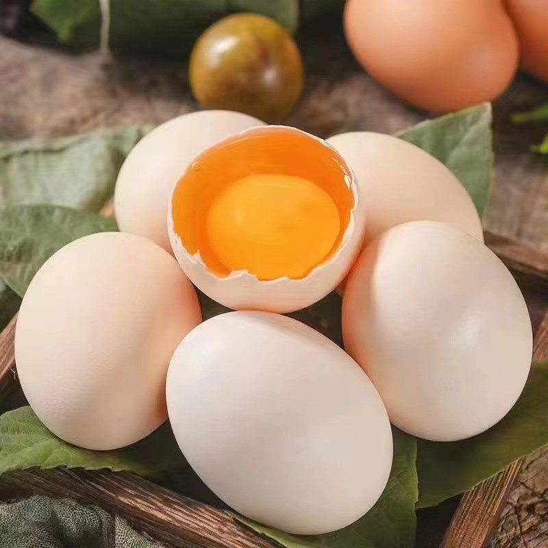 微信图片_20220809181404