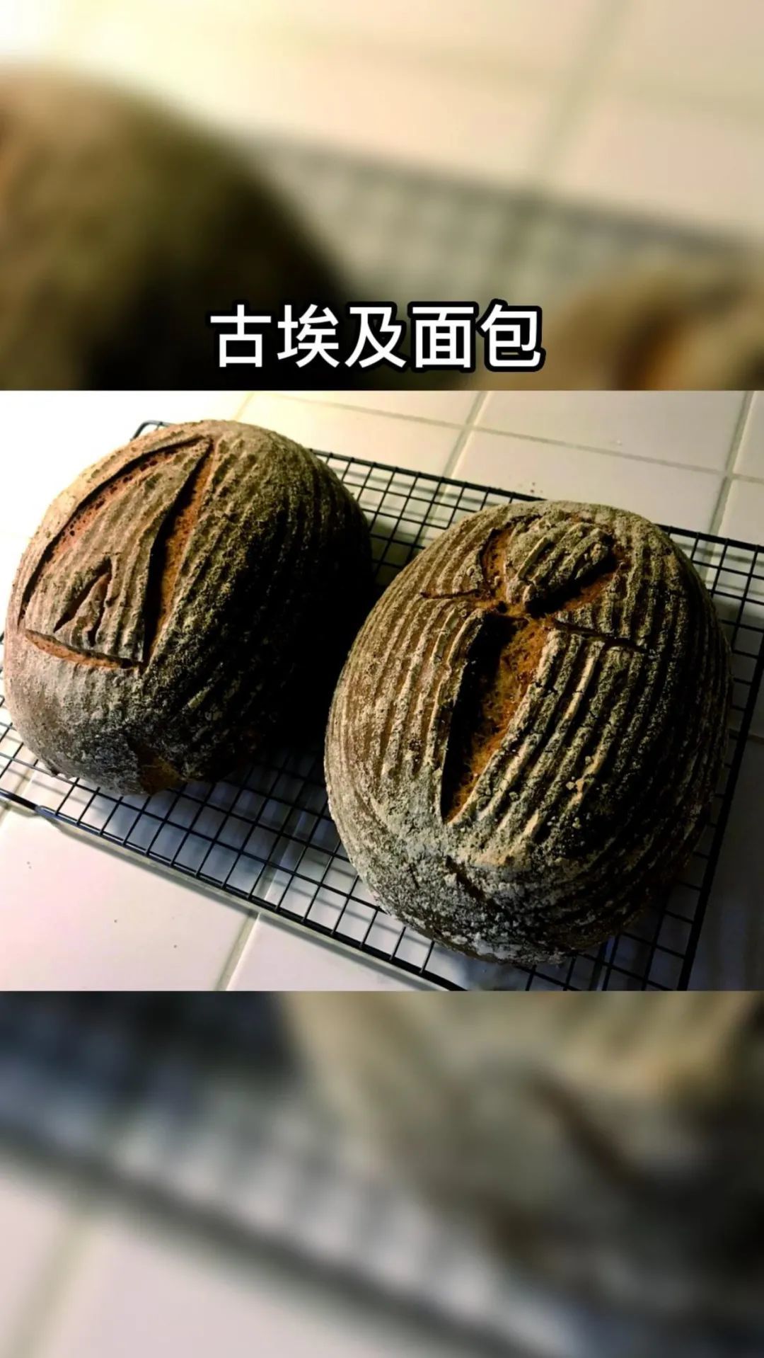 古埃及面包_凤凰网视频_凤凰网